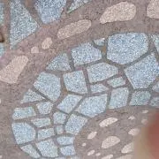 るるの画像