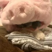 rrrrrtの画像