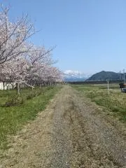 あめたん＊プロフご確認お願いしますの画像
