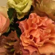 モイラー