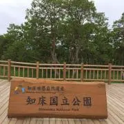 ぴろしきの画像
