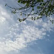 あおぞら