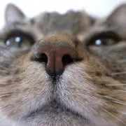 じあらいさん