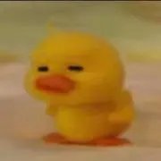 ぴよまる