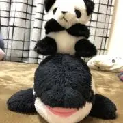 ゆう