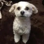 さっちゃん♡♡