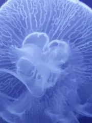 みらい