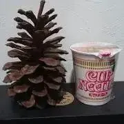 USA USED   N.Y. SHOPの画像