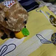 moricoの画像