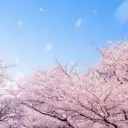 ぱる☺︎即購入OKの画像