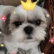 ウディ