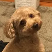 あきべー