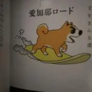 黒うさぎの画像