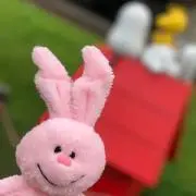 ぽん