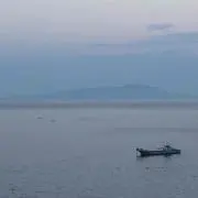 taeの画像