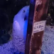 にくまん