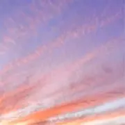 suzuの画像