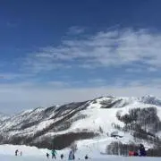 reo★の画像