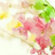 a...♡