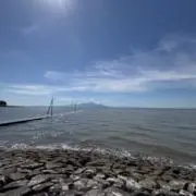 ドンキーコングの画像