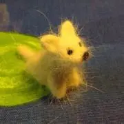 まこの画像
