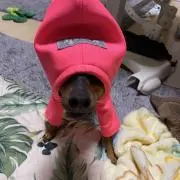 ゆうすけ　購入する時コメント下さい。の画像