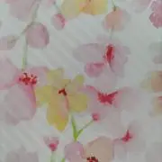 M.mamaの画像
