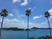 エディ(翌日迄発送!)の画像