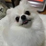 お塩。