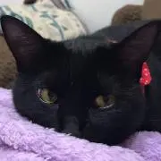 ママちゃんの画像