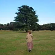 まるの画像