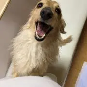 ちょーうん
