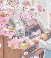 ゆいPの画像