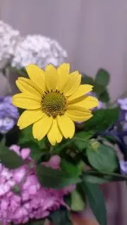 ♡ta♡