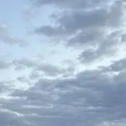 あらちの画像