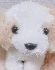 まるの画像