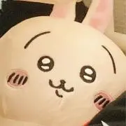 唐揚げ食べたいの画像