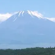 さくら