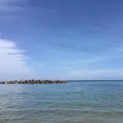 なな丸の画像