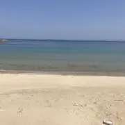 jugo15の画像