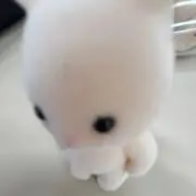 sUNaoの画像