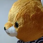 ここなの画像
