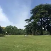 おもちの画像