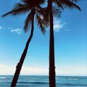 ちぃの画像