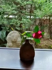 Poppyの画像