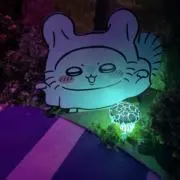 Jの画像