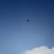 けろけろの画像