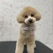まぁ★の画像