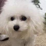 あかちゃん。の画像