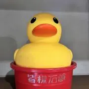 BIRDの画像